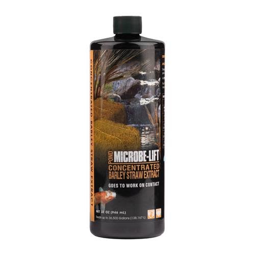 BARLEY STRAW EXTRACT 32 OZ