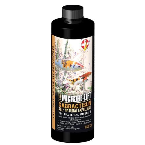 SABBACTISUN 16 OZ