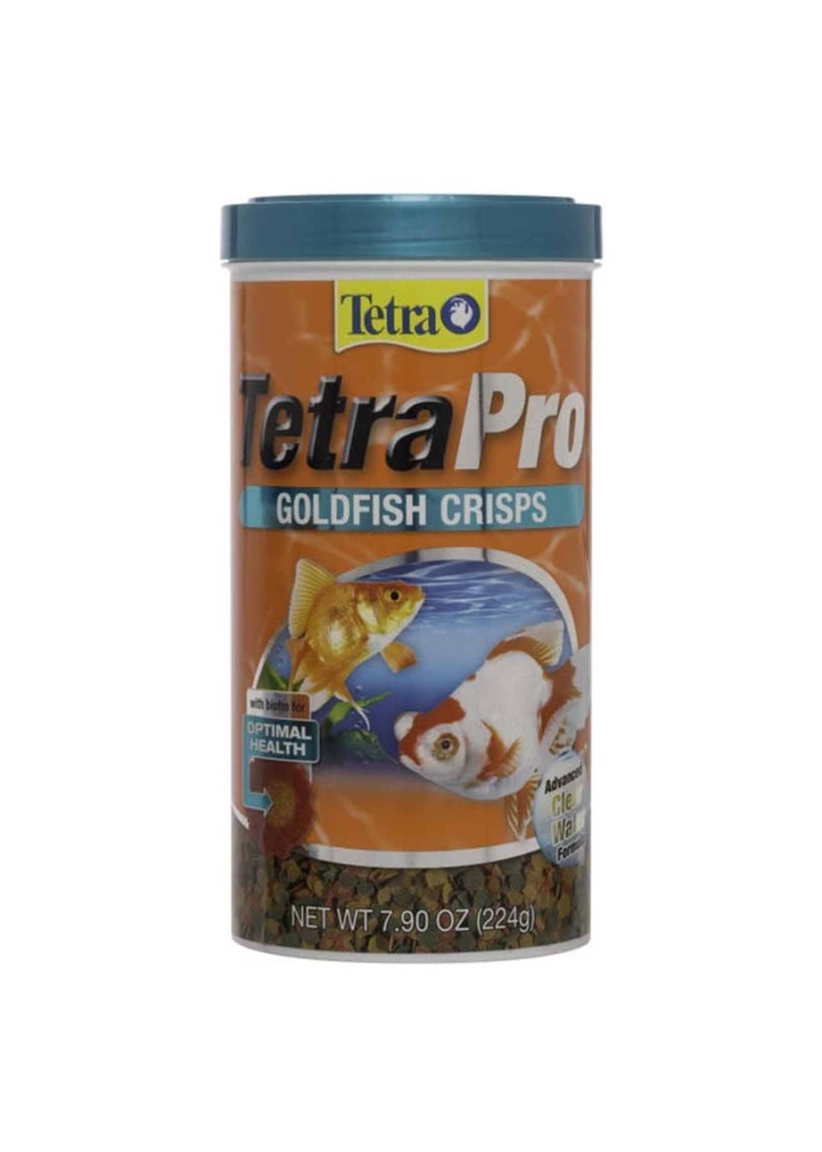 Tetra Goldfish: Tetra