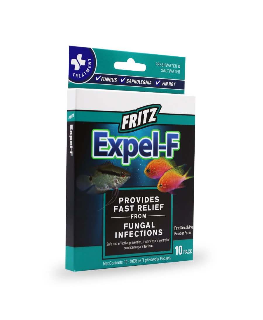 EXPEL-F ANTI FUNGAL 10 PK