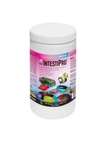 Hikari INTESTIPRO 2.2 LB