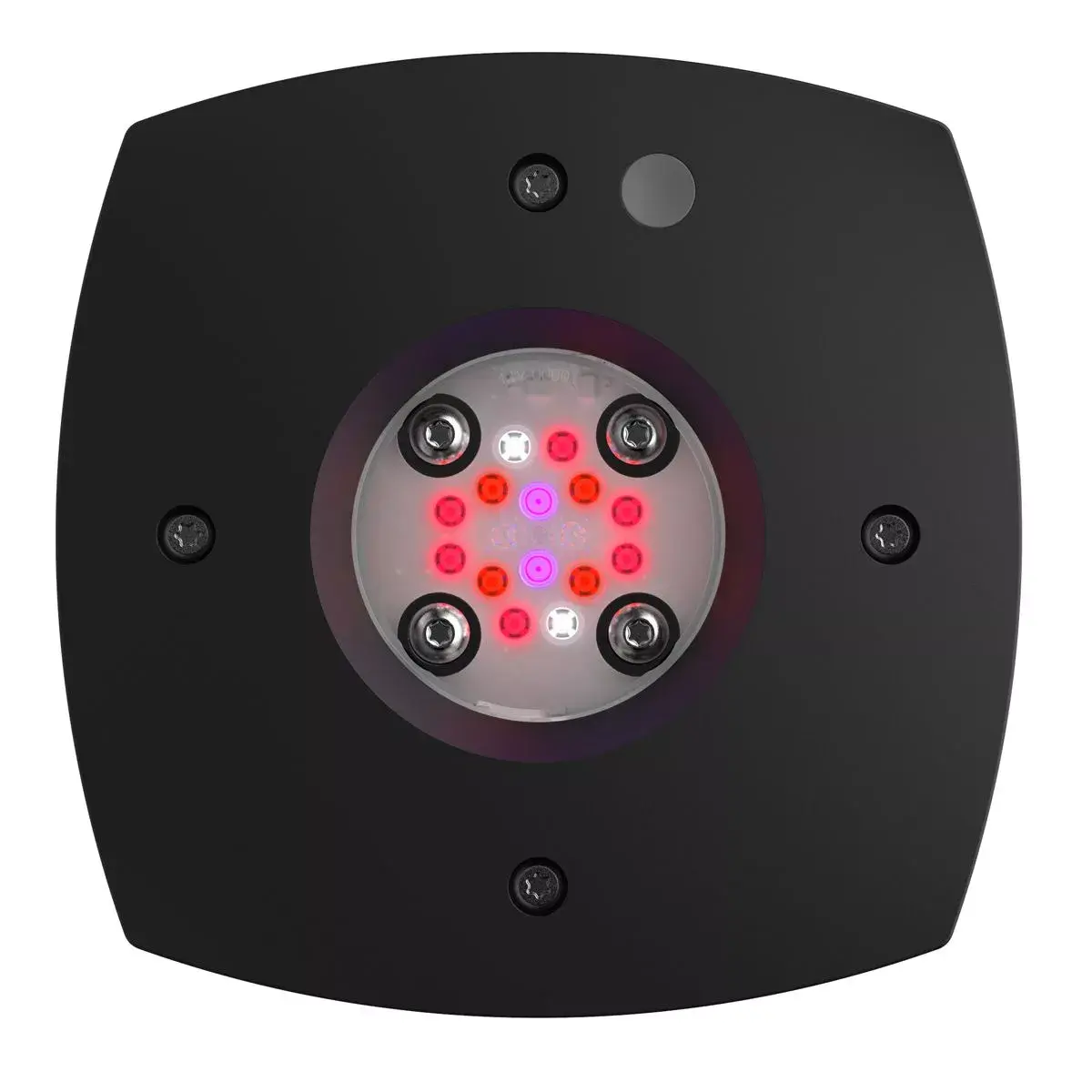 PRIME FXTR LED 16 FUGE BLACK
