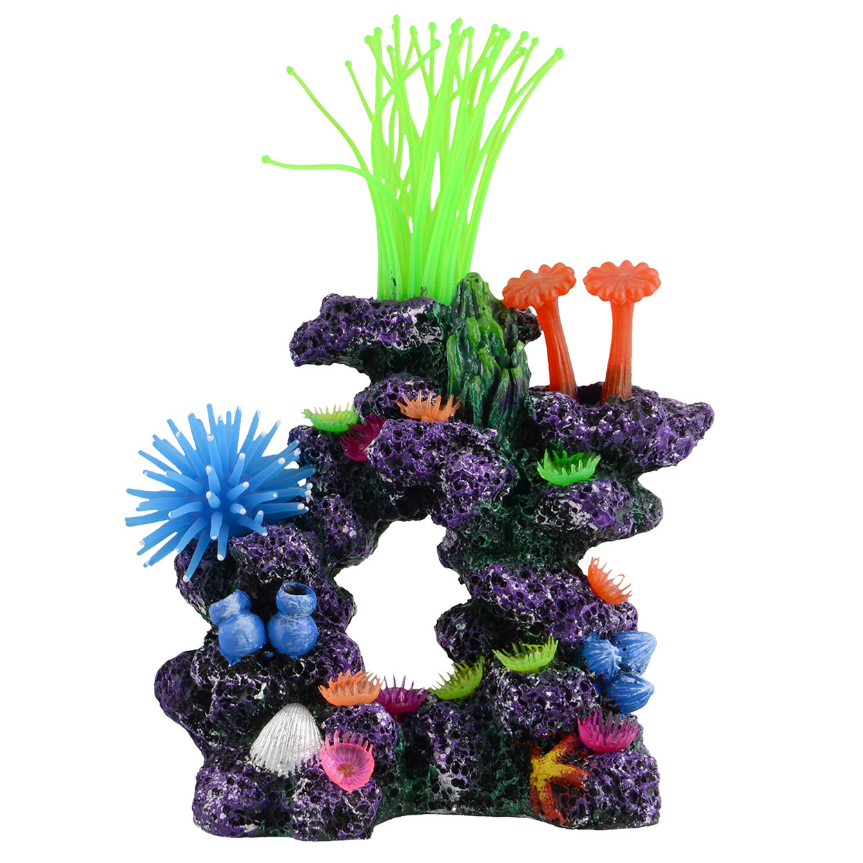CARIBBEAN CAVE REEF