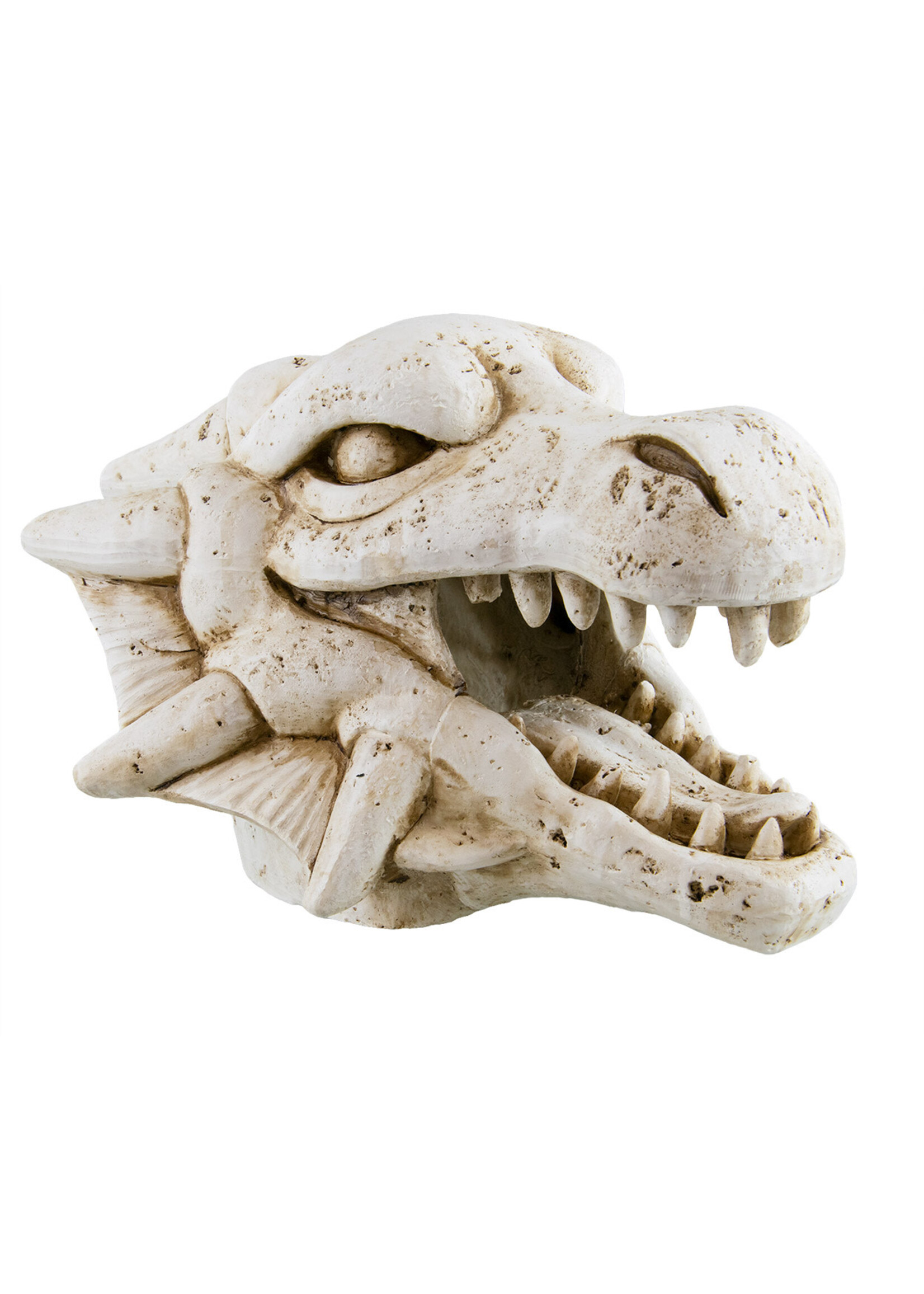 Underwater Treasures DRAGON SKULL