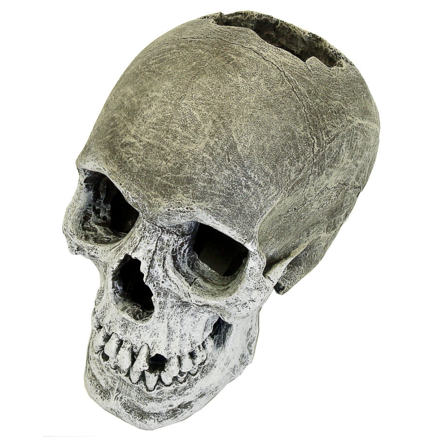 LIFE LIKE HUMAN SKULL