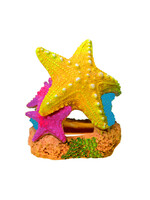 Blue Ribbon SEA STAR DUO