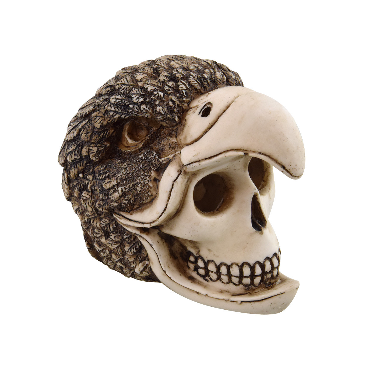 BIRDMAN SKULL