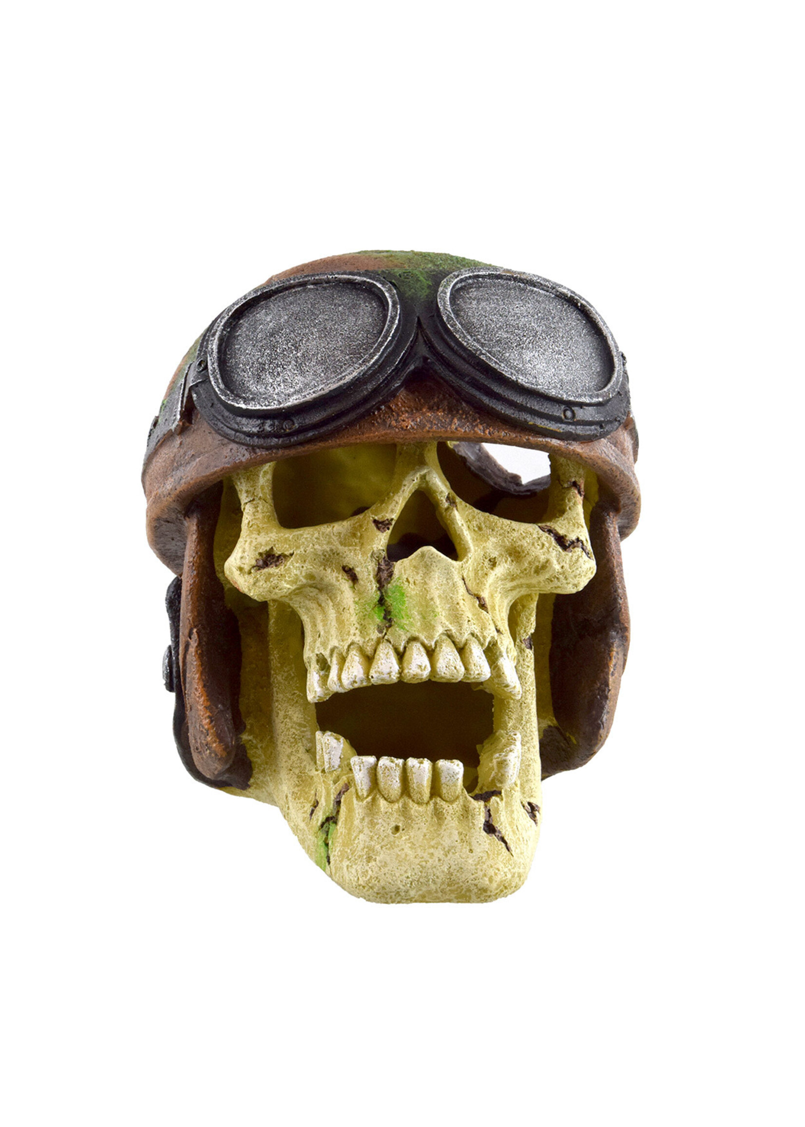 Underwater Treasures PILOT SKULL