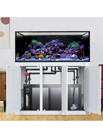 Innovative Marine INT100 GALLON COMPLETE REEF SYSTEM WHITE