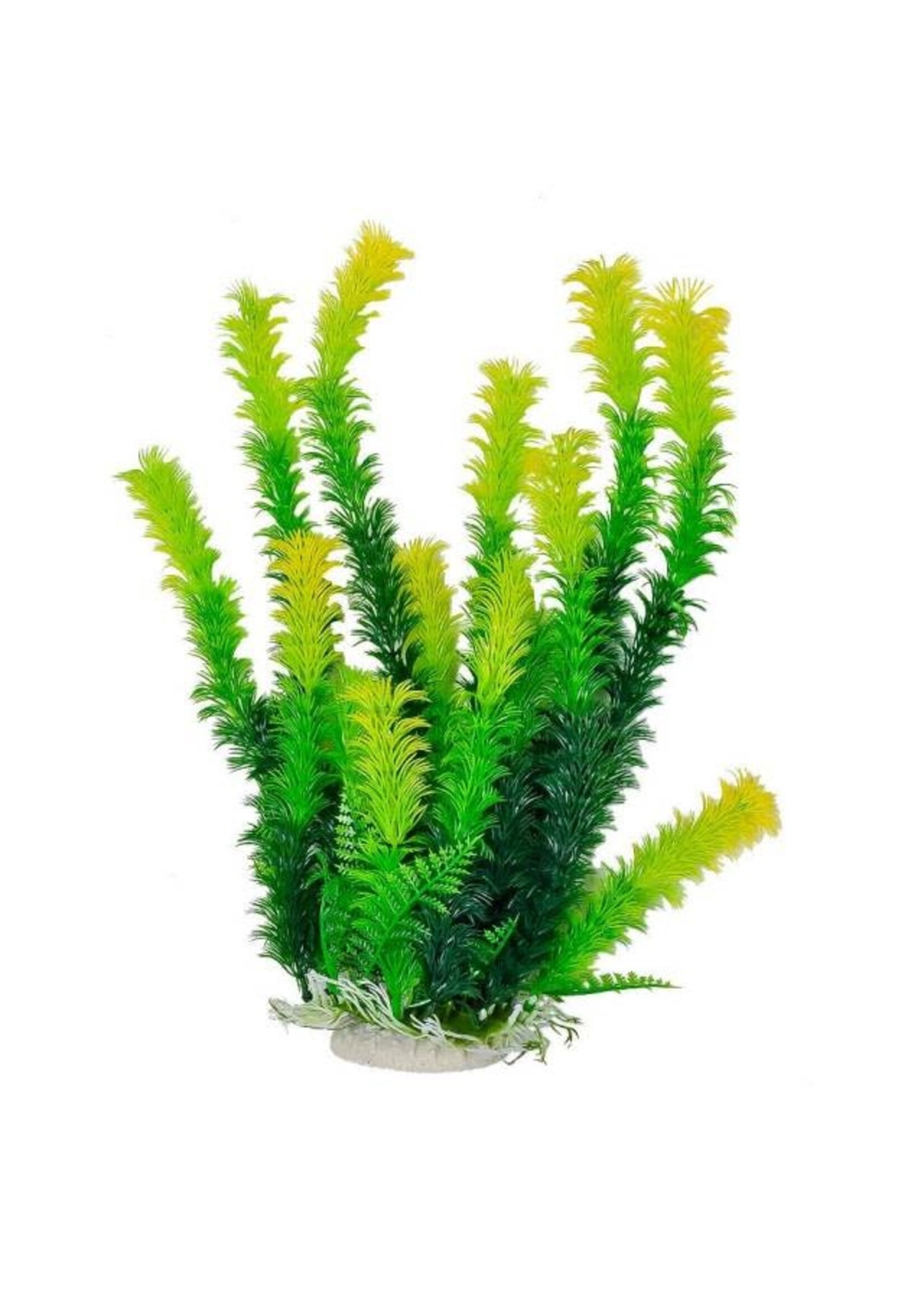 Aquatop AQUATOP PLANT BUSHY GREEN PLANT 12"