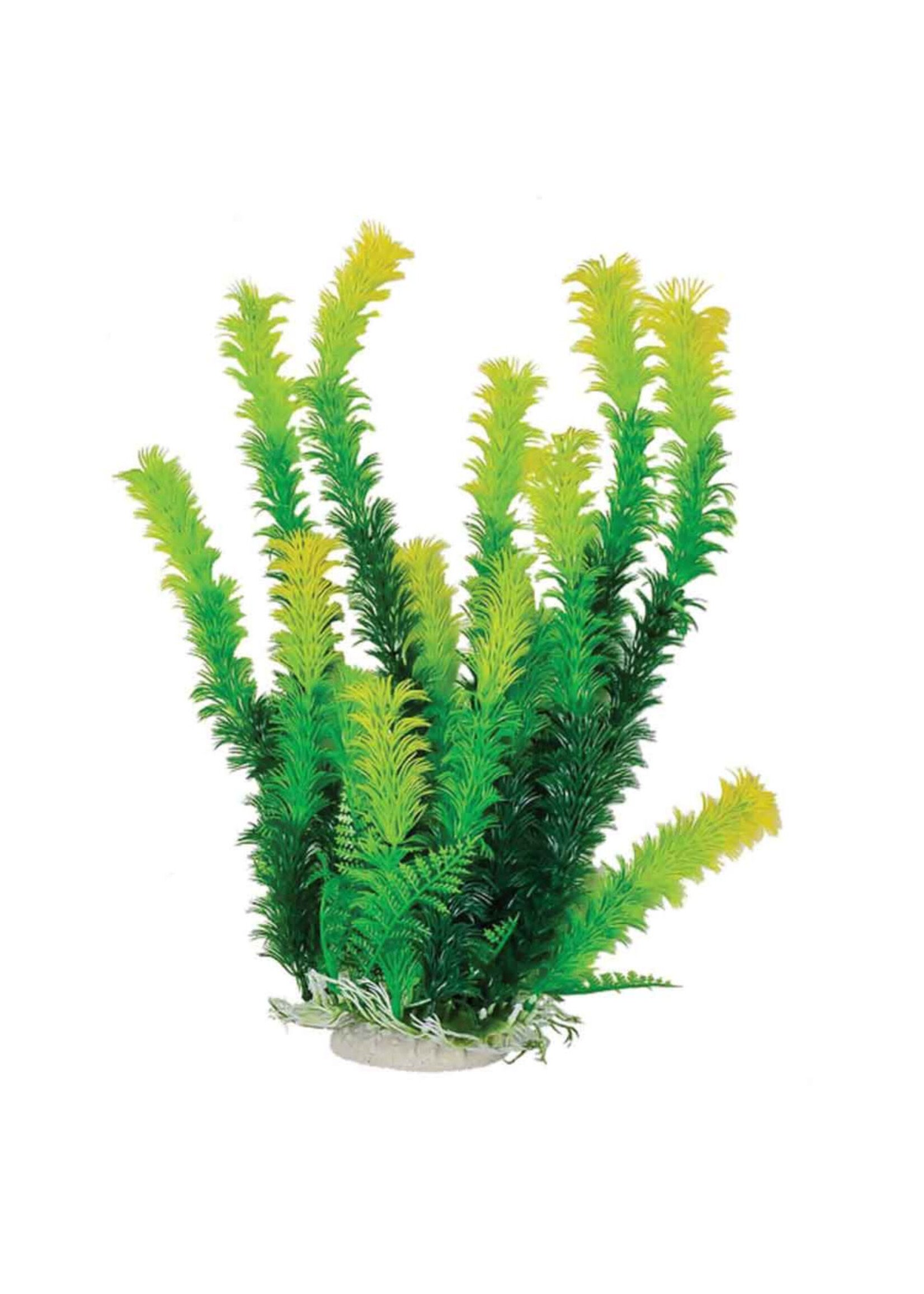 Aquatop 16" BUSHY GREEN PLANT