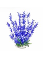 Aquatop PLANT BACOPA BLUE/WHITE 20 IN
