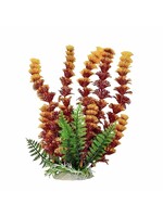Aquatop PLANT CABOMBA RUST/OR12 IN