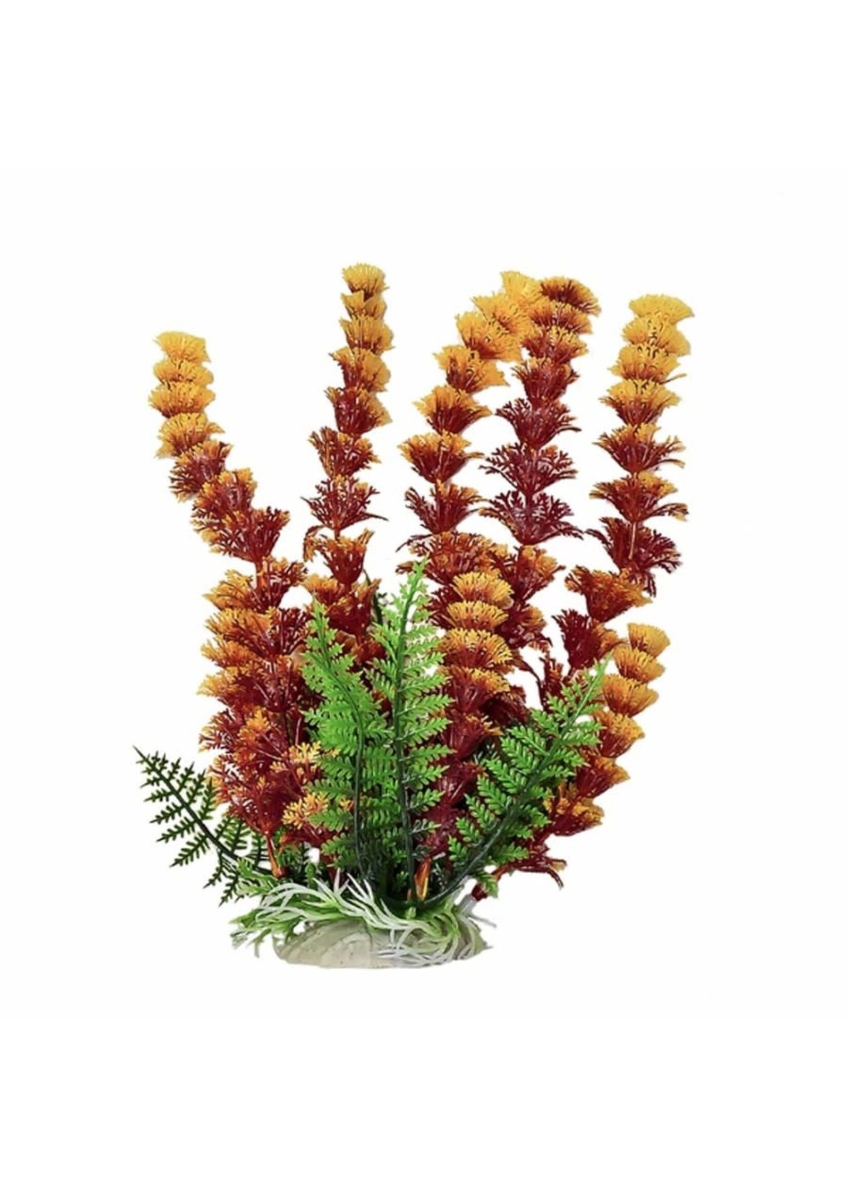 Aquatop PLANT CABOMBA RUST/OR12 IN