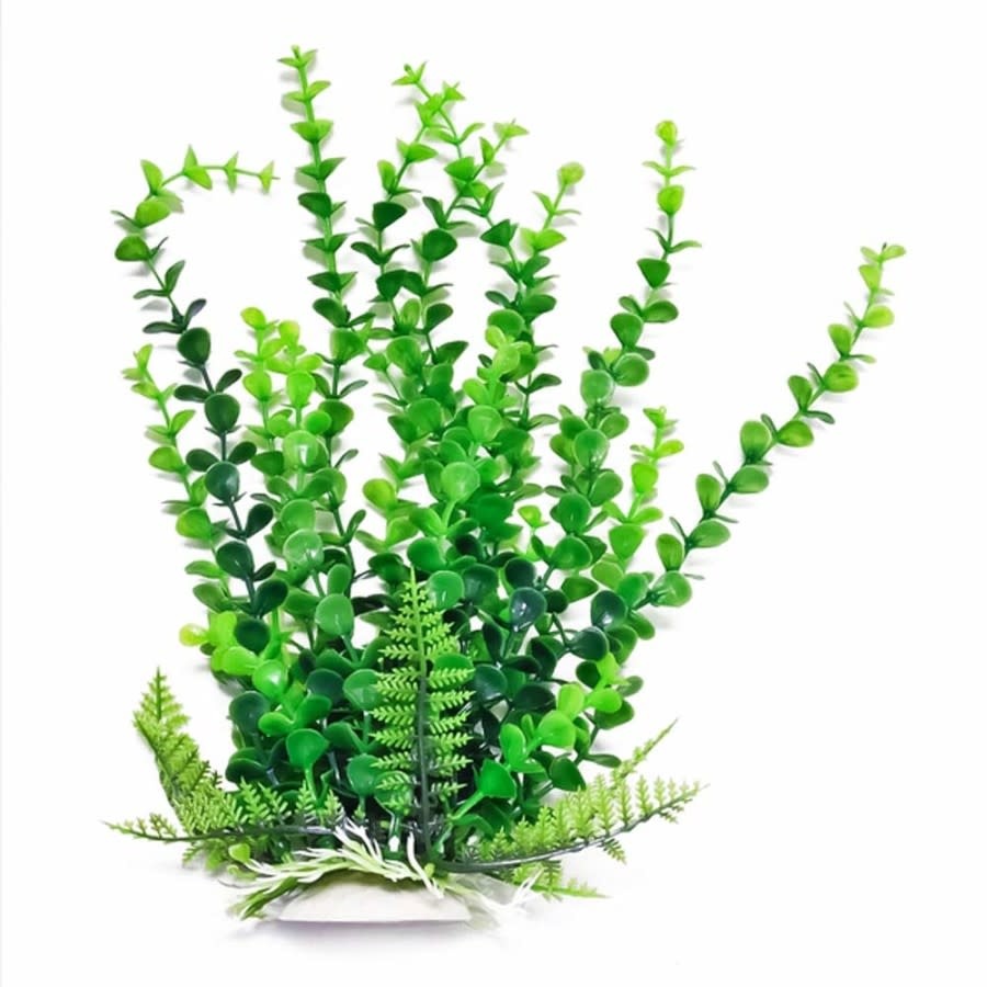 AQUATOP PLANT ELODEA GREEN 12 IN - The Hidden Reef, Inc