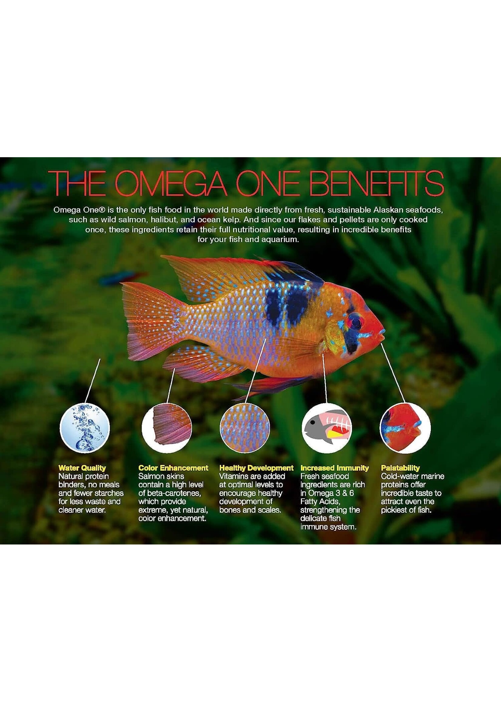 Omega Sea LTD CICHLID FLAKE 12OZ
