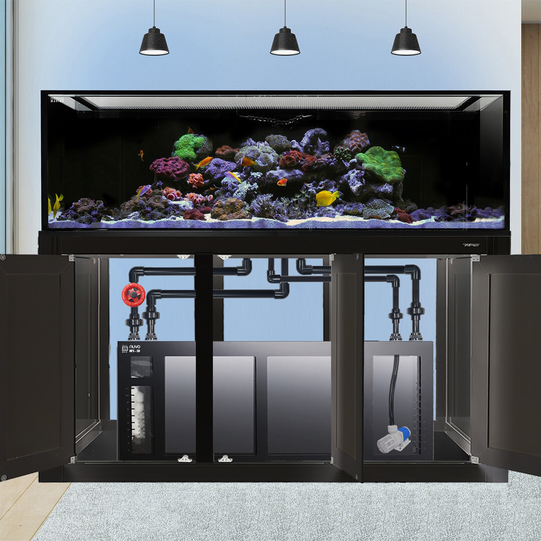 Thumbnail for Full Setup For A 200 Gallon Saltwater Aquarium