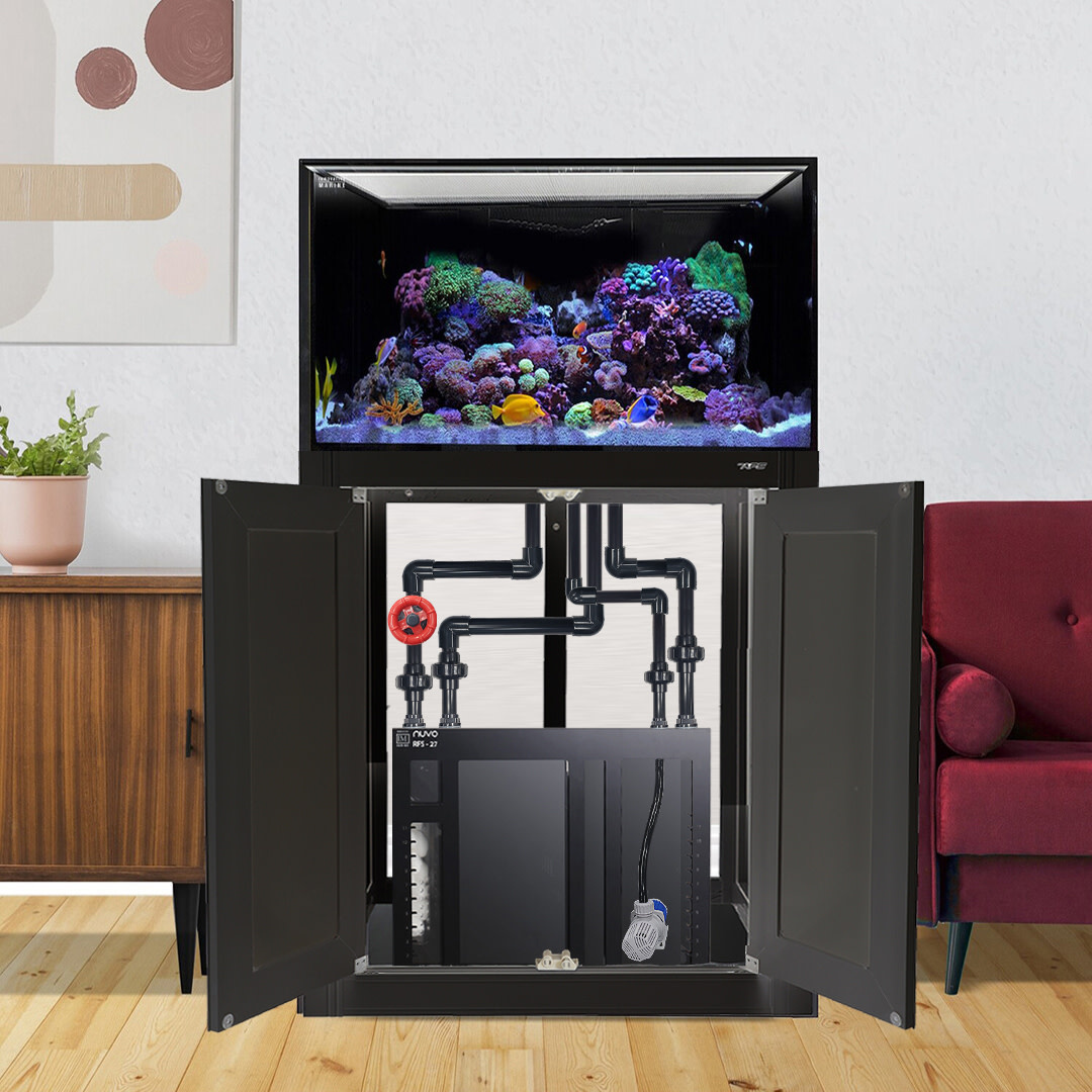 INT 112 GALLON COMPLETE REEF SYSTEM BLACK (MADE TO ORDER)