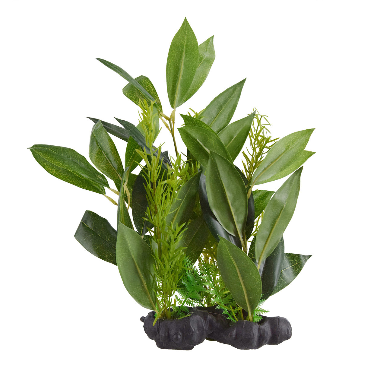 OLIVE TREE