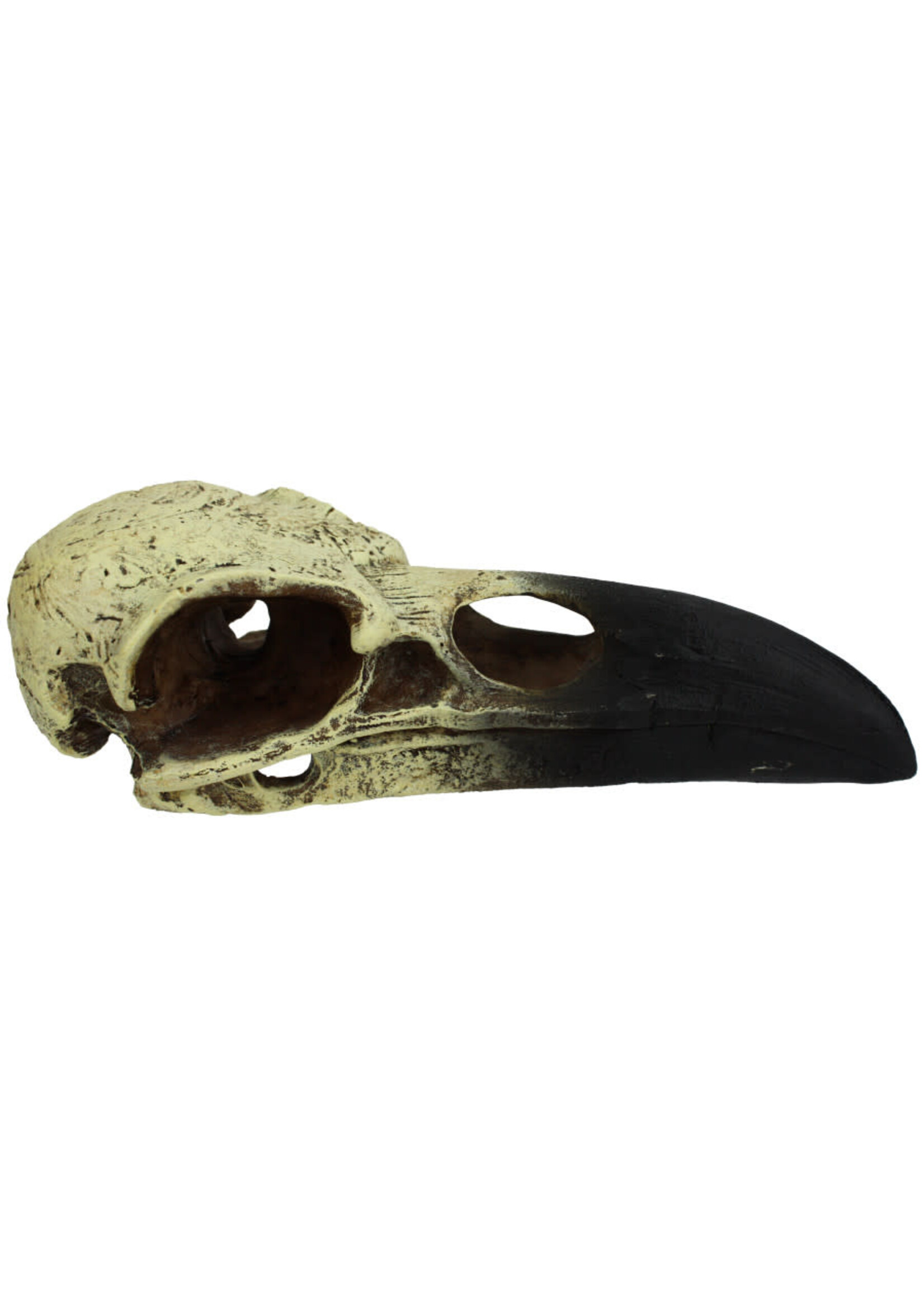 Komodo HIDEOUT RAVEN SKULL M