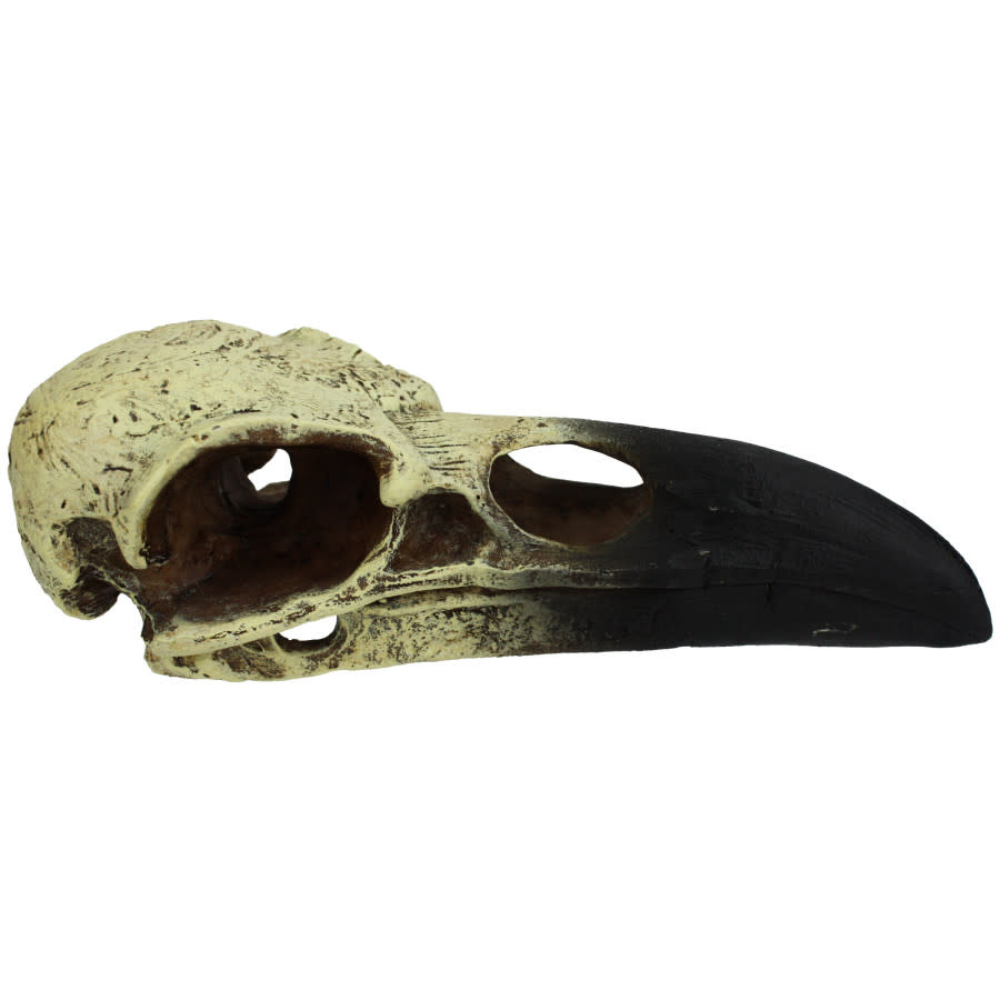 HIDEOUT RAVEN SKULL M