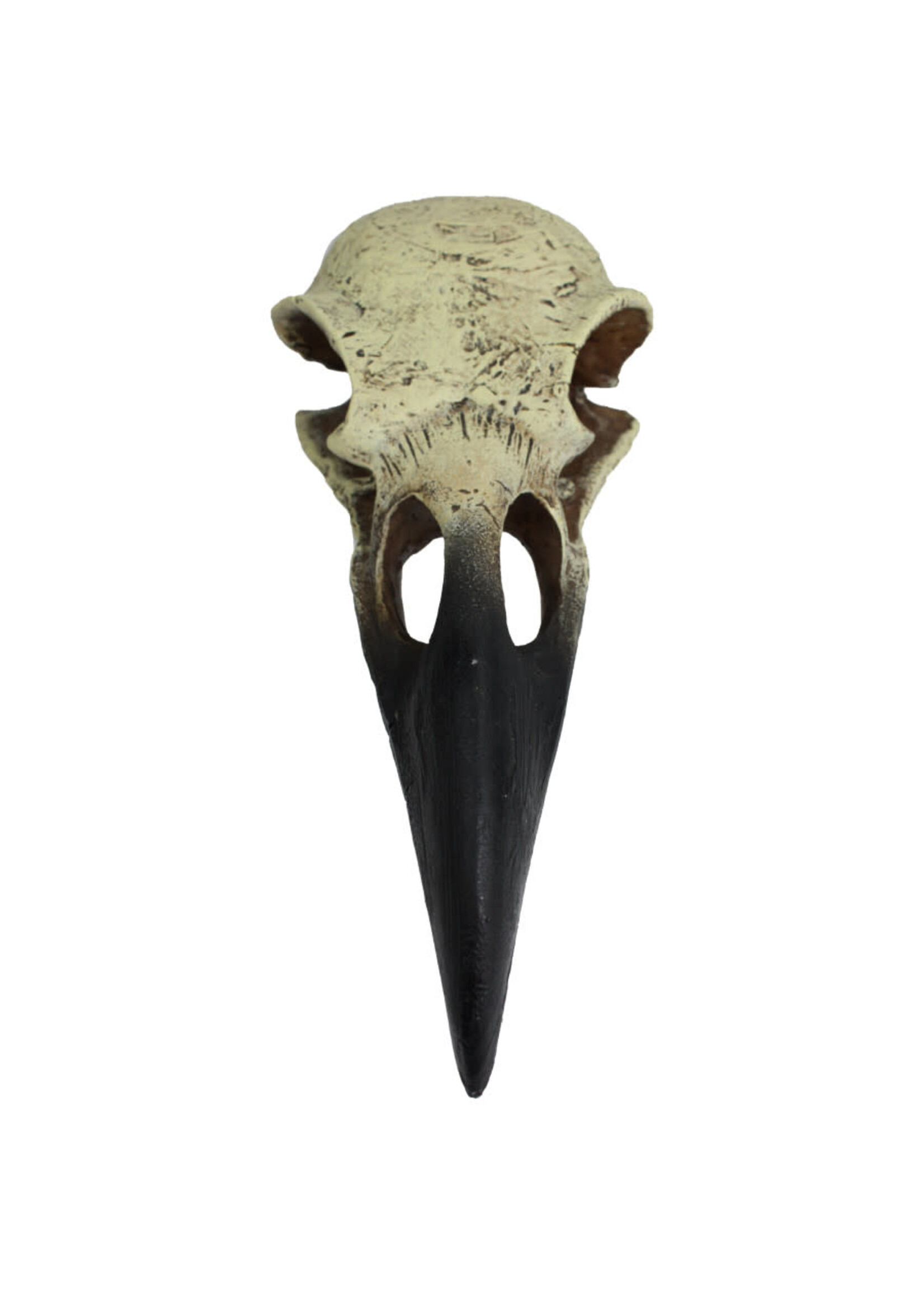 Komodo HIDEOUT RAVEN SKULL M