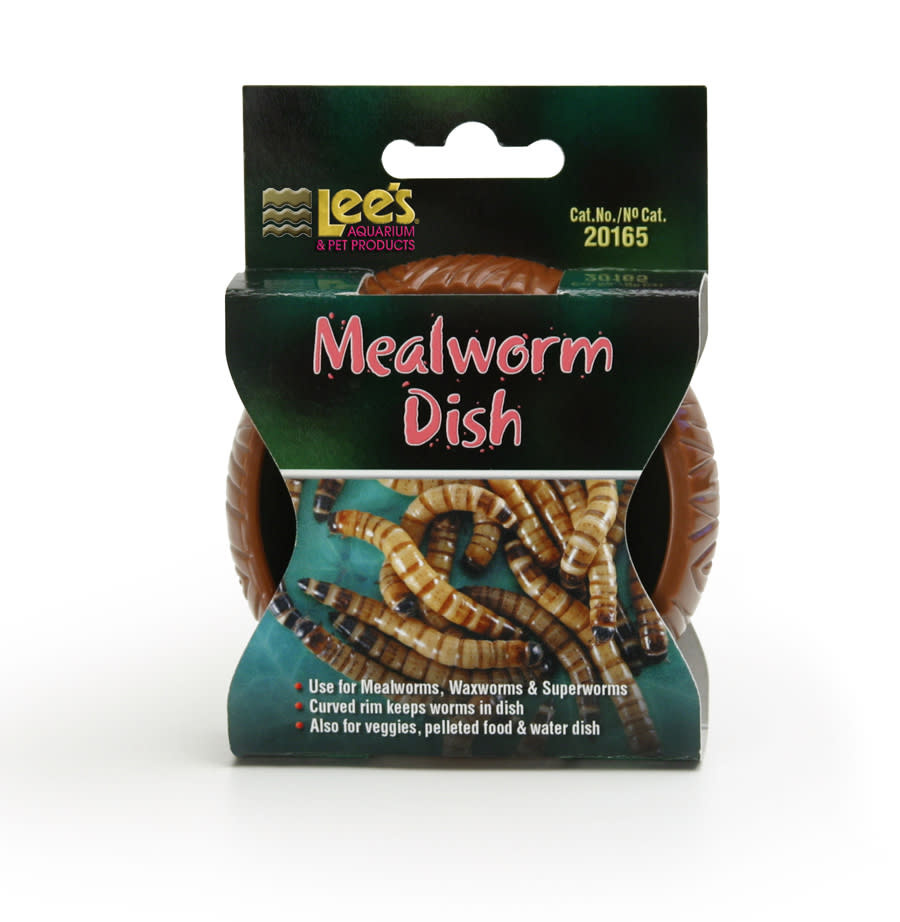 MEALWORM CURVED DISH