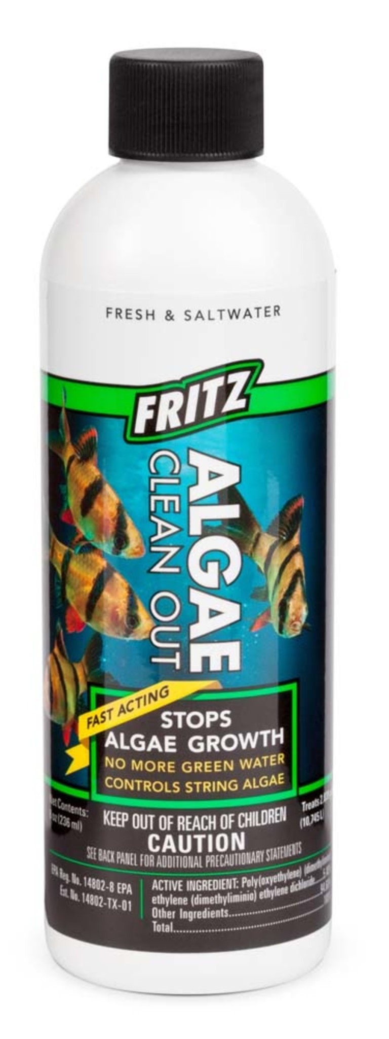 ALGAE CLEAN OUT 8 OZ