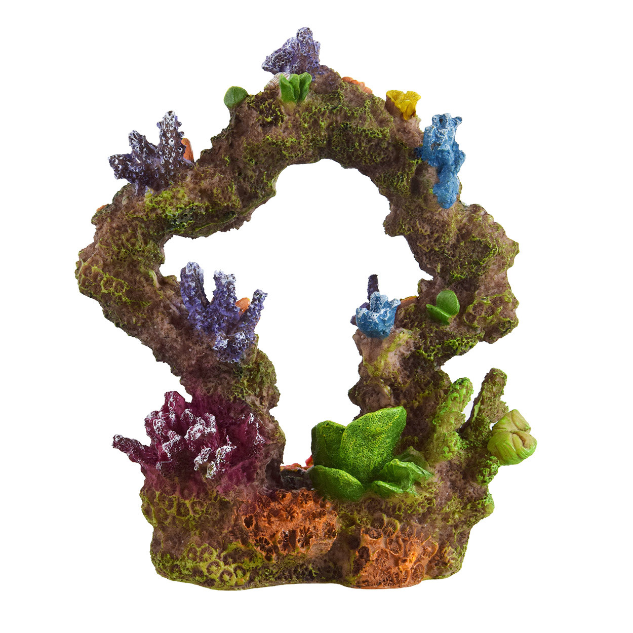 REEF ARCHWAY