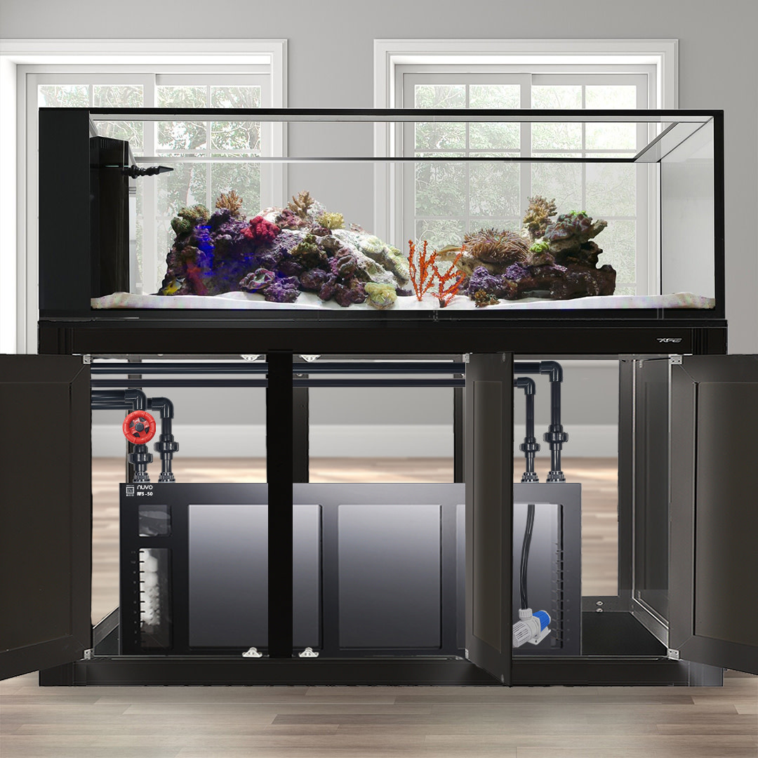 INT 200 PENINSULA AQUARIUM COMPLETE REEF SYSTEM BLACK (MADE TO ORDER)