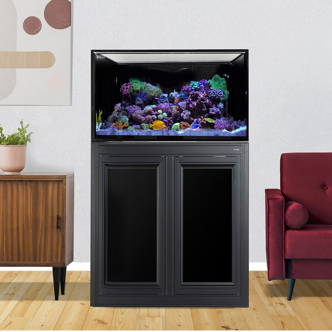 INT 112 LAGOON AQUARIUM W / APS STAND BLACK (MADE TO ORDER)