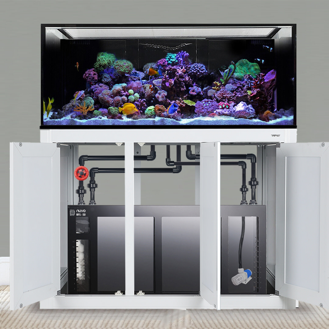 INT 170 GALLON COMPLETE REEF SYSTEM WHITE (MADE TO ORDER)
