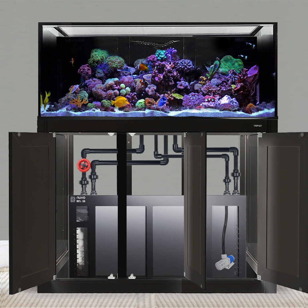 INT 170 GALLON COMPLETE REEF SYSTEM BLACK (MADE TO ORDER)