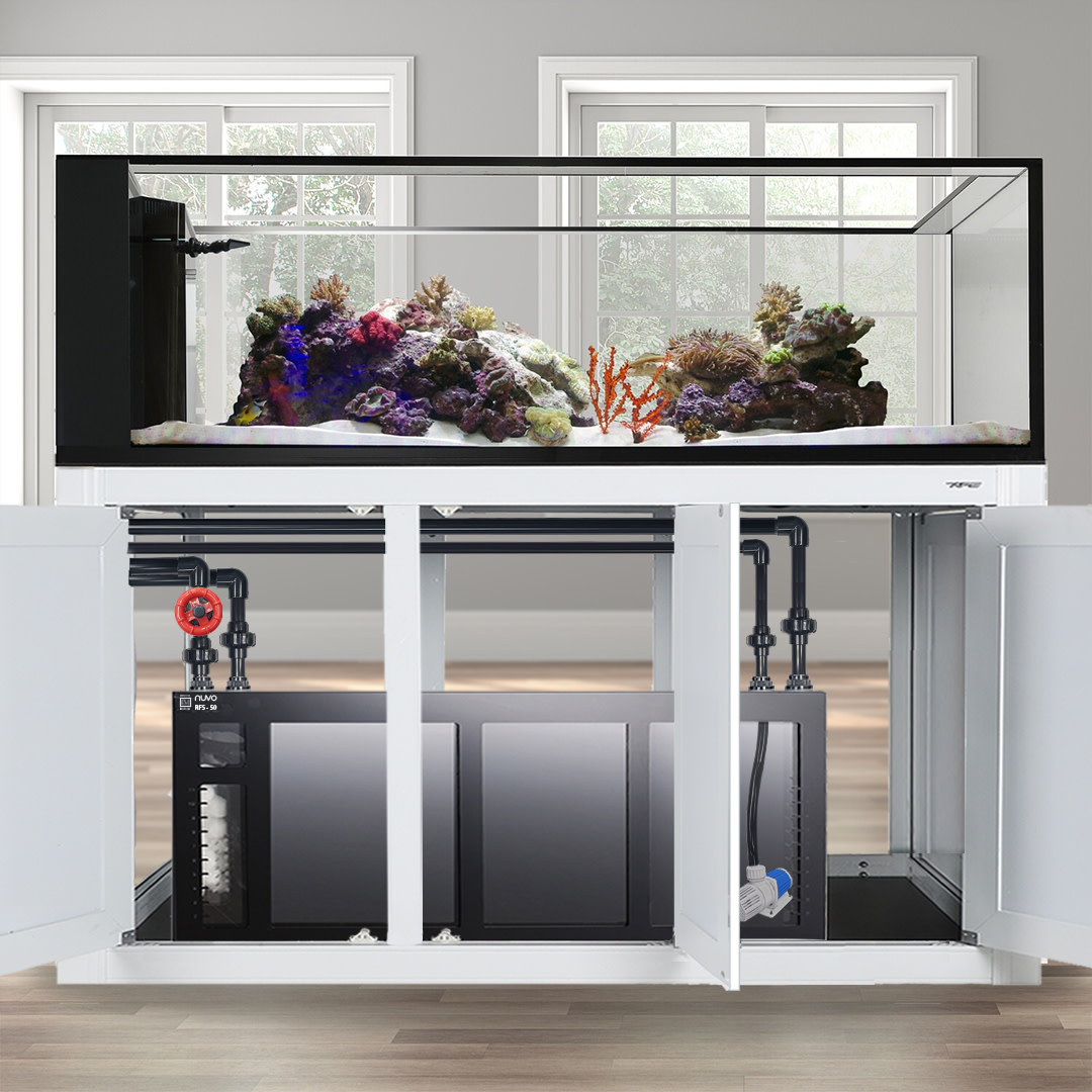 INT 200 PENINSULA AQUARIUM COMPLETE REEF SYSTEM WHITE (MADE TO ORDER)