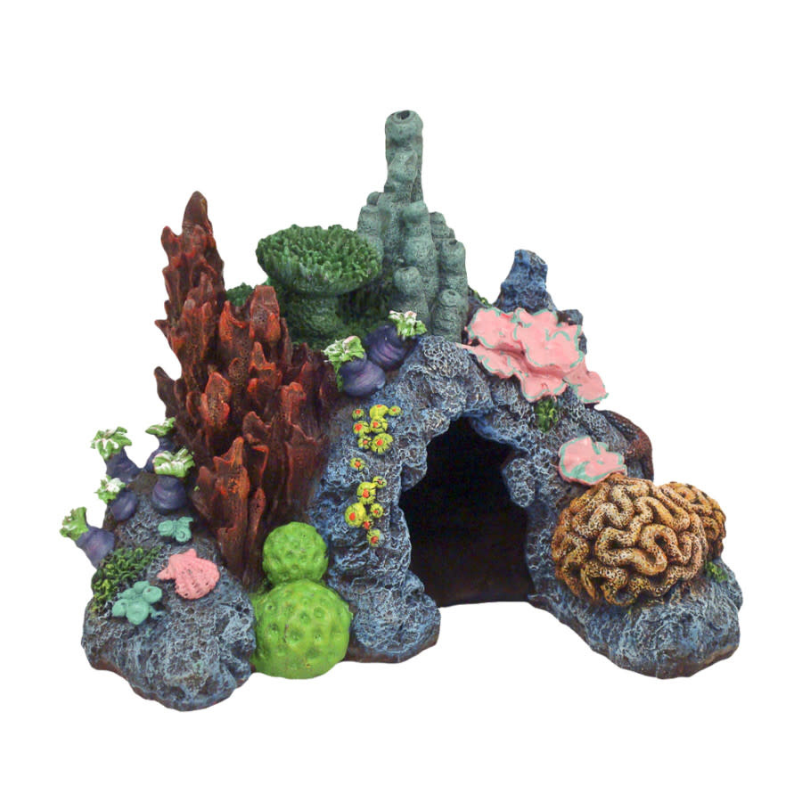 CARIBBEAN REEF SM