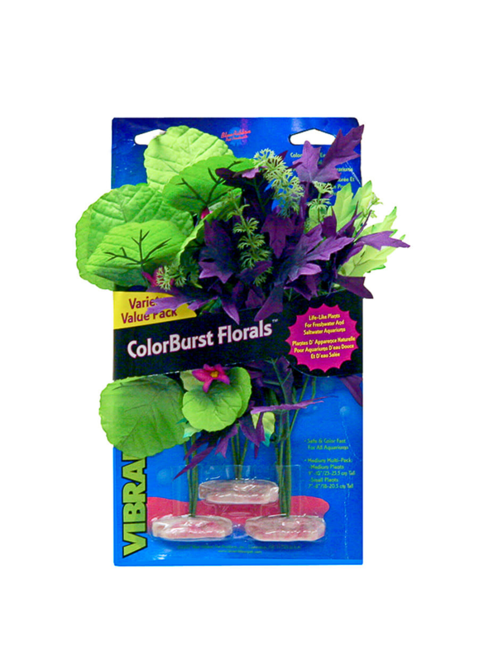 Blue Ribbon PLANT AMAZON FLOWER CLUSTER 3PK