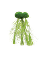 Underwater Treasures FLOATING MOSS W FEATHER ROOT SM
