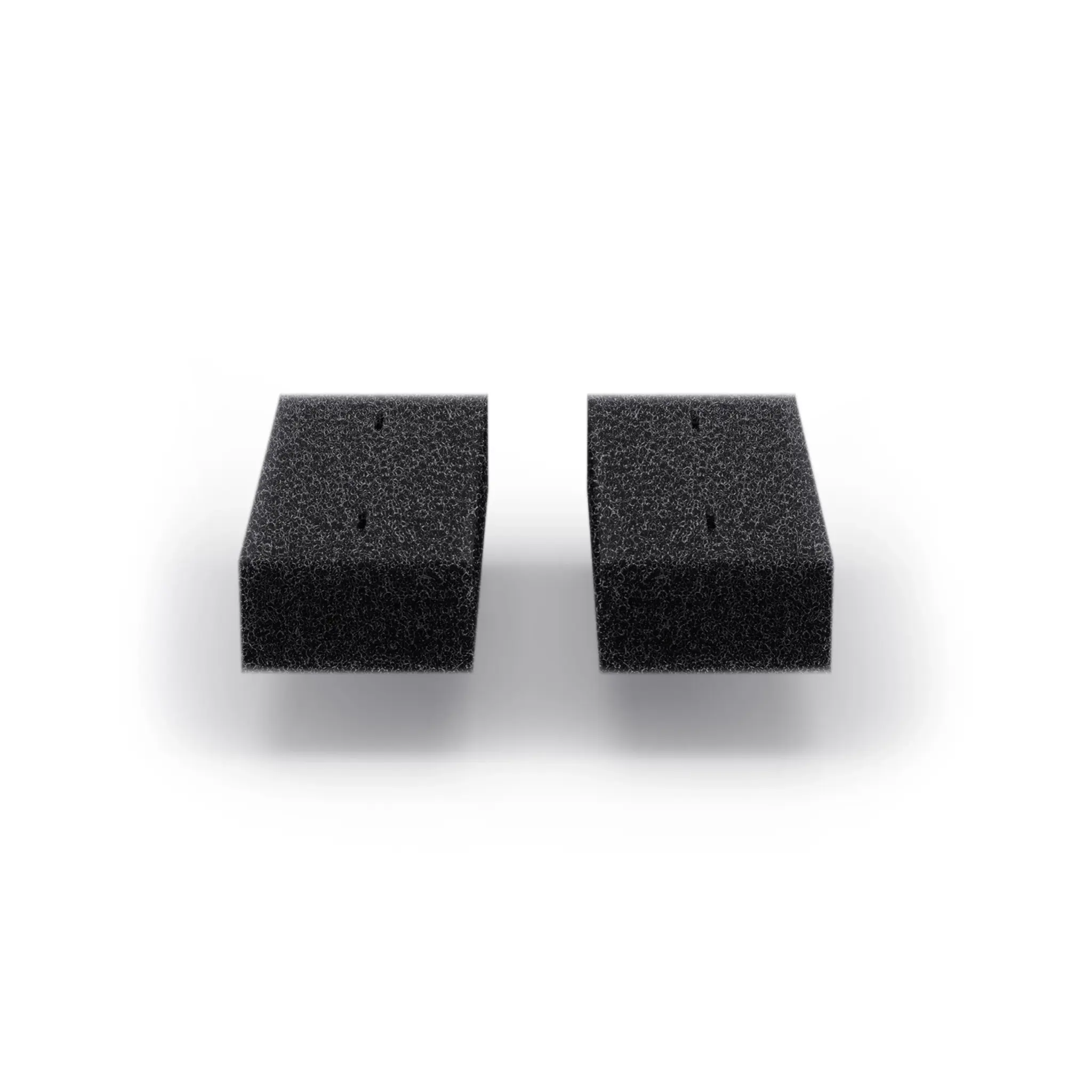 BIORB EARTH CARBON FILTER BACK 2PK