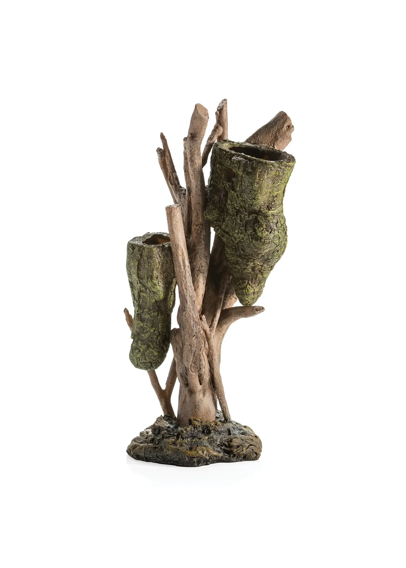 OASE BIORB EARTH ROOT WITH BEE HIVE L