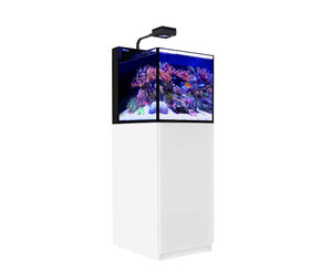MAX NANO G2 Peninsula Aquarium (26 Gal) - Bulk Reef Supply