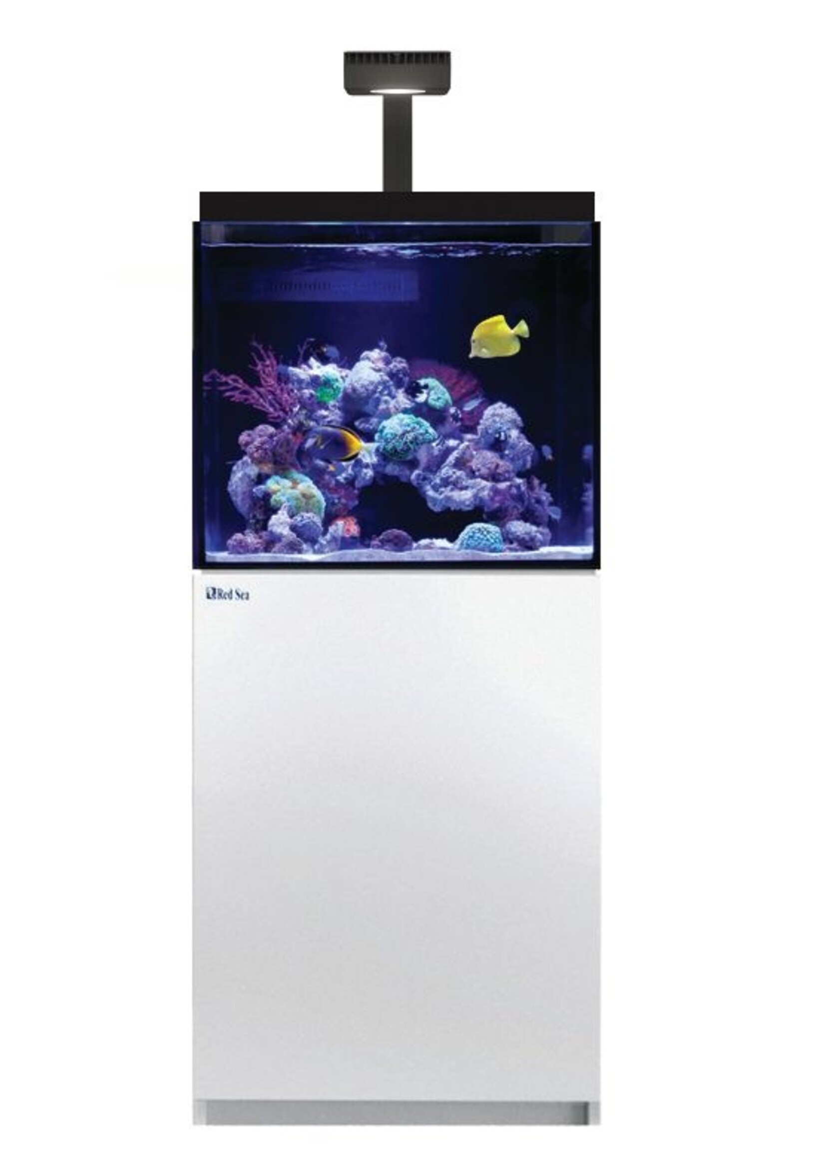 Red Sea MAX E -170 43 G WHITE COMPLETE REEF SYSTEM