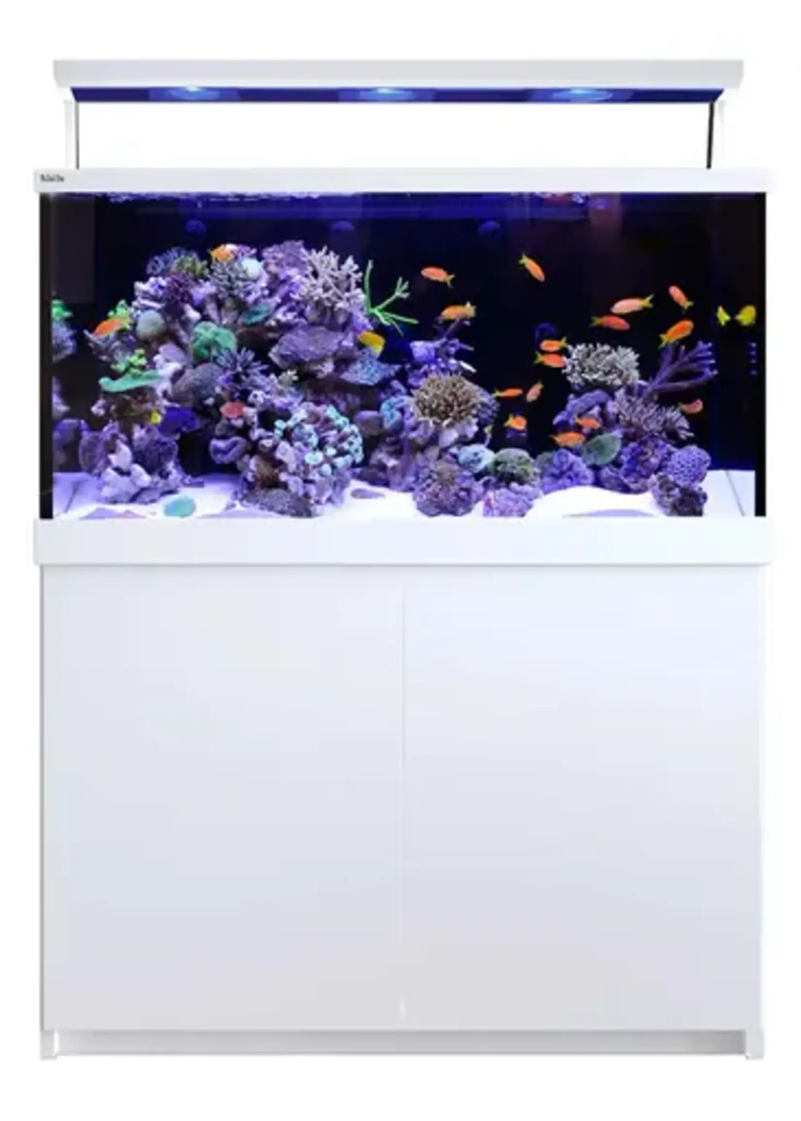 135 Gallon Coral Reef Aquarium Fish Tank Complete Set