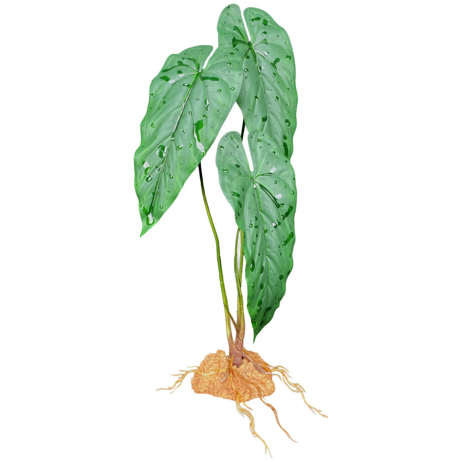 STANDING PLANT EMERALD VEIN 18"