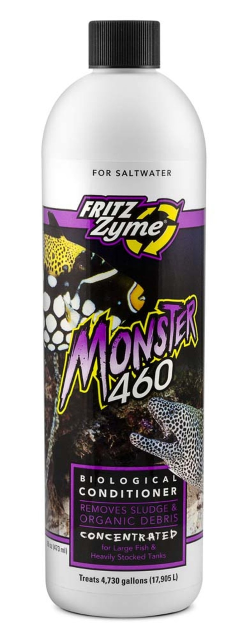 MONSTER 460 16 OZ