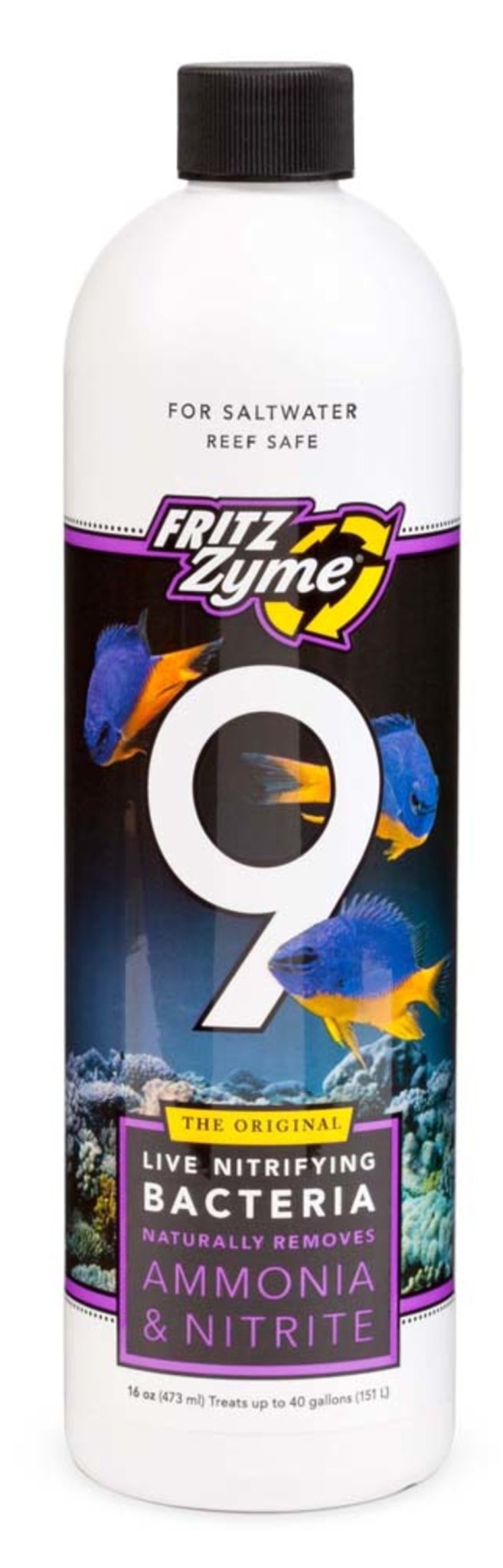 ZYME 9 SALT BACTERIA 16OZ