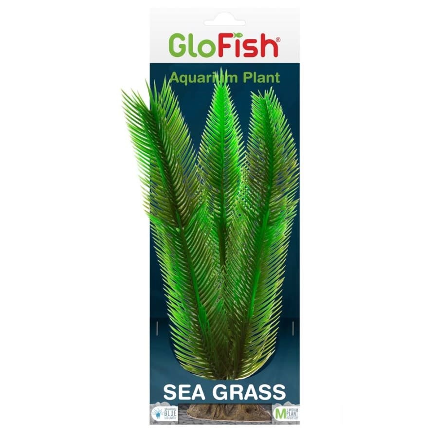 GLOFISH SEA GRASS PLANT MD