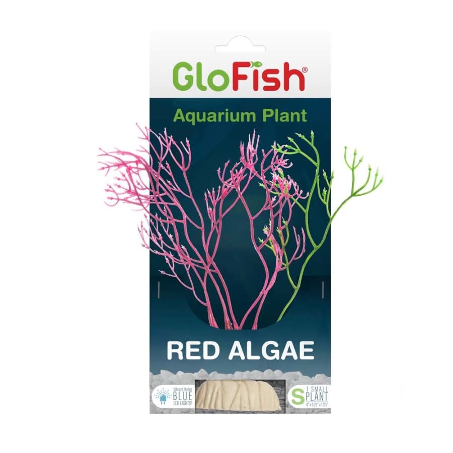 GLOFISH RED ALGAE PLANT SM