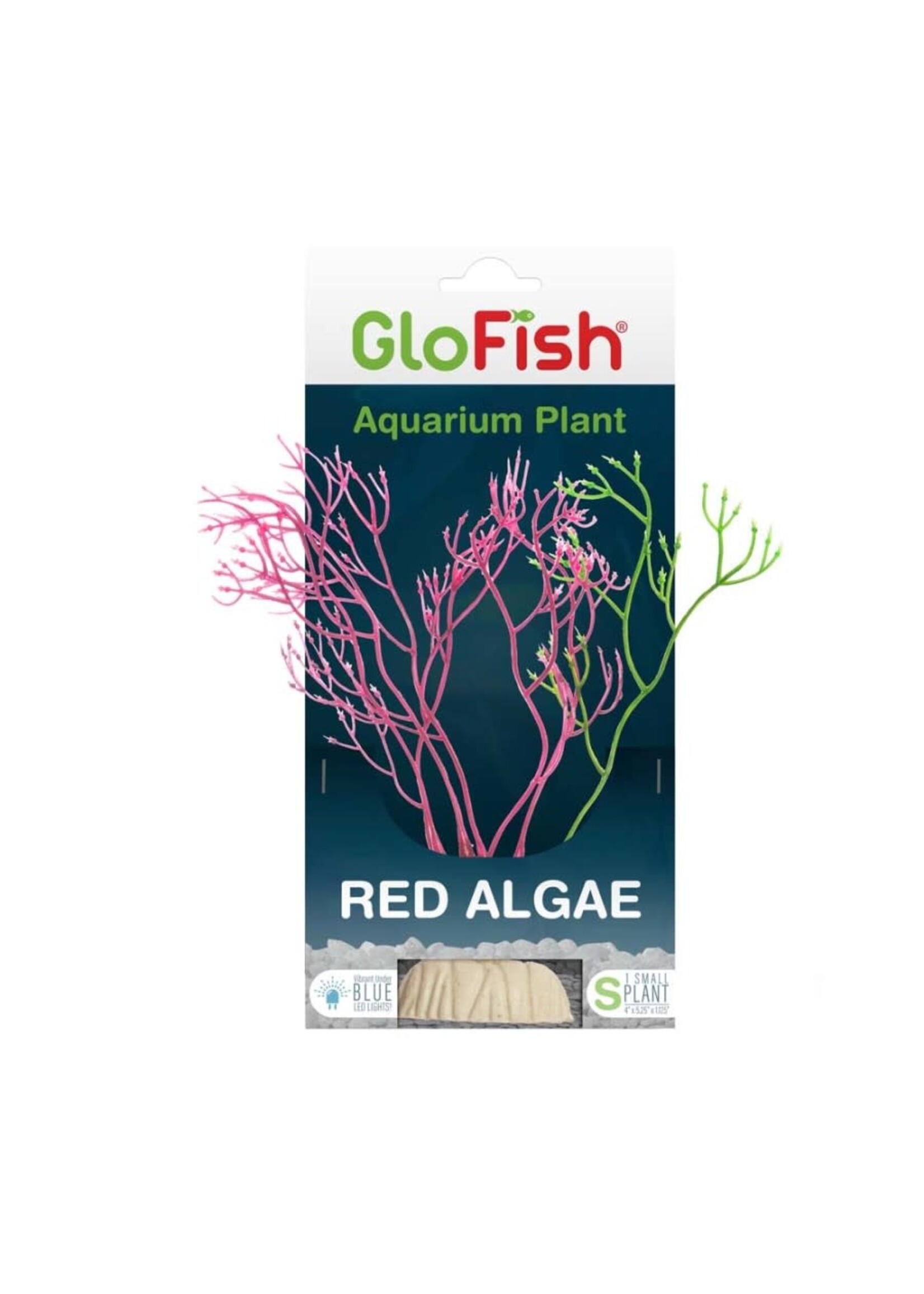 GloFish GLOFISH RED ALGAE PLANT SM