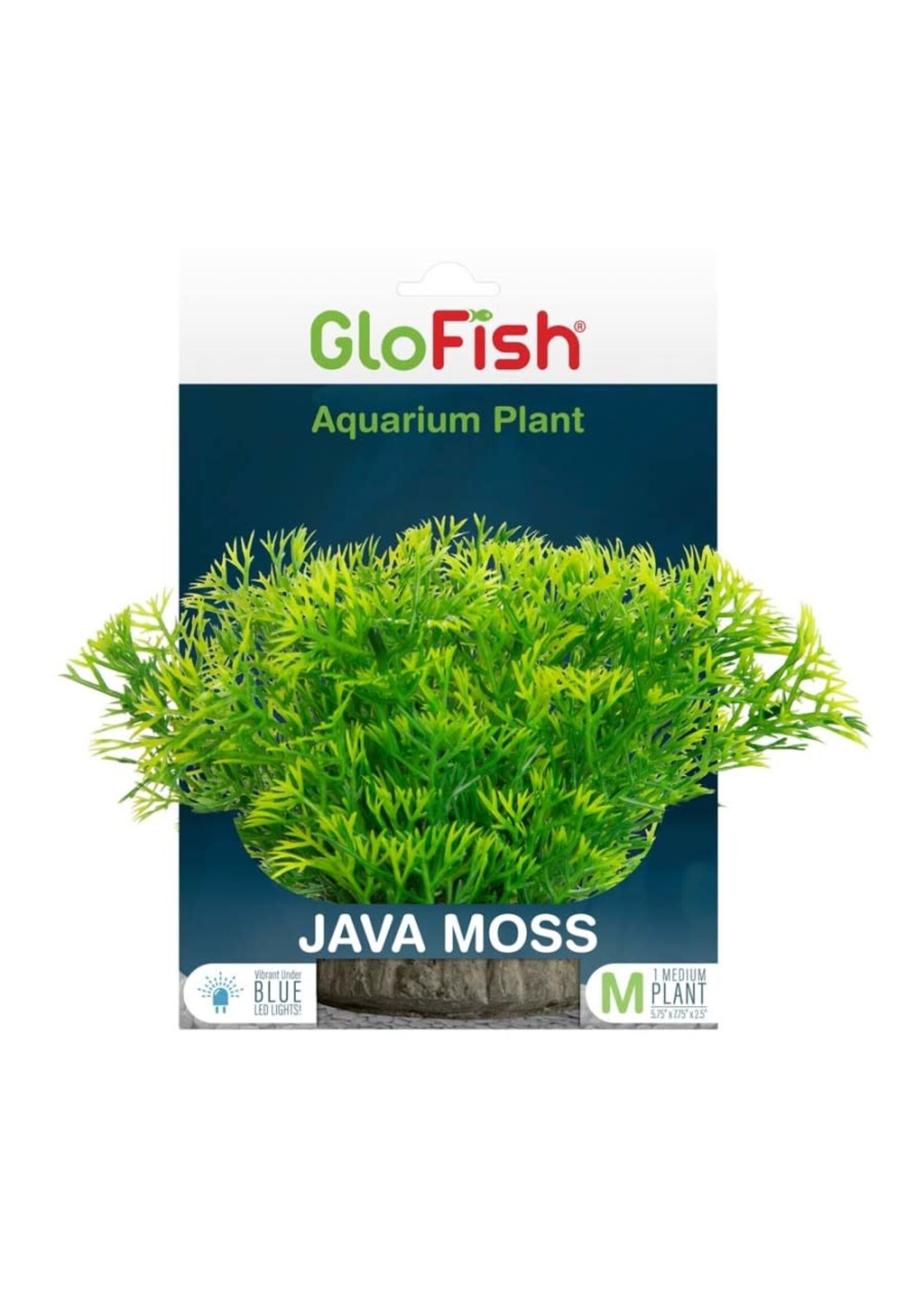 GloFish GLOFISH JAVA MOSS PLANT MD