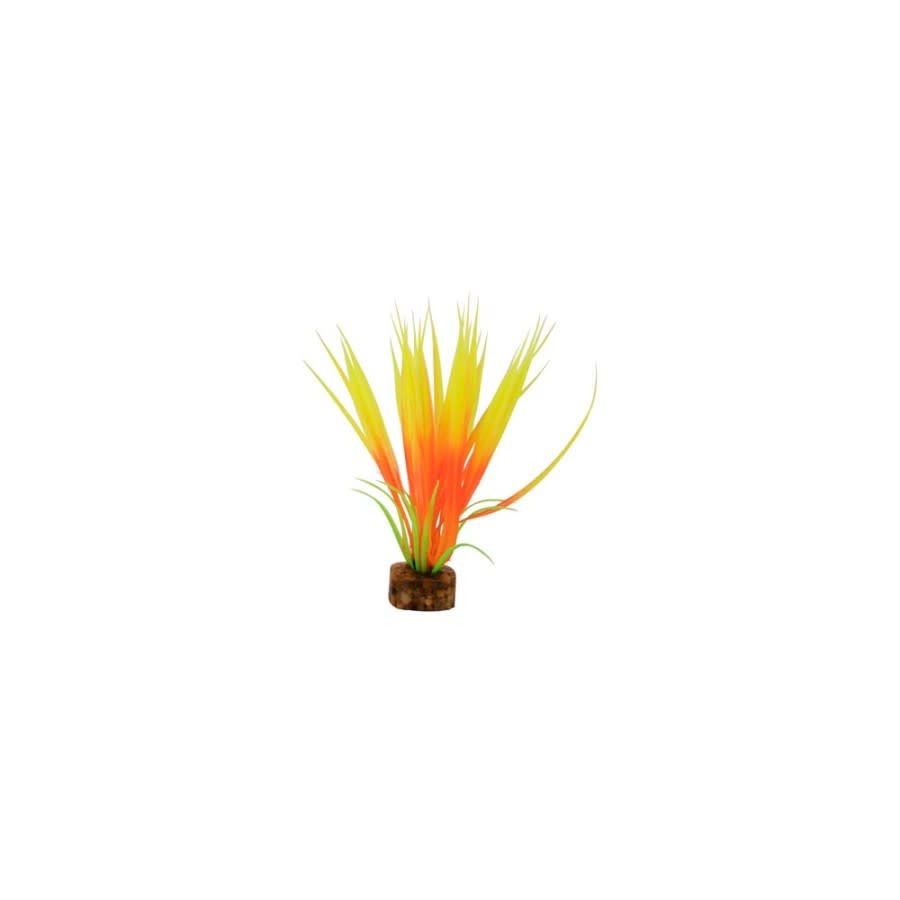 GLOFISH PLANT ORANGE/YELLOW SM